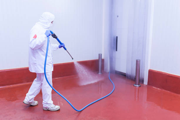 Best Sidewalk and Walkway Cleaning  in St Joseph, MI